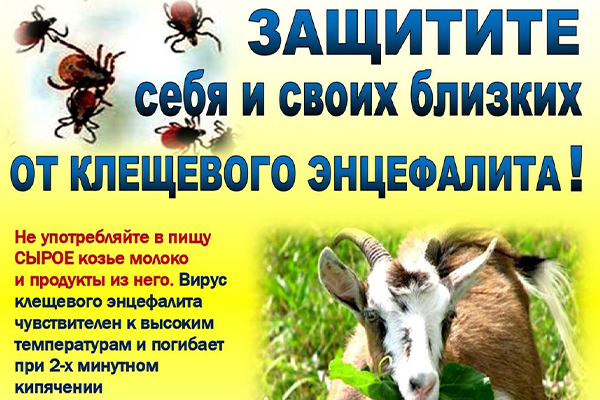 В Брестской области зарегистрированы случаи клещевого энцефалита с пищевым заражением! В Брестской области зарегистрированы случаи клещевого энцефалита с пищевым заражением!
